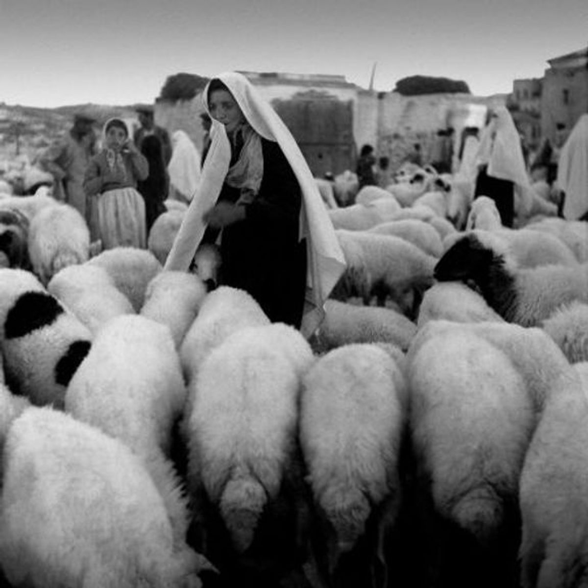 Anadolu 1956