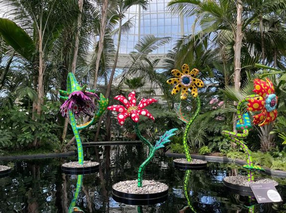 Yayoi Kusama, Design Boom