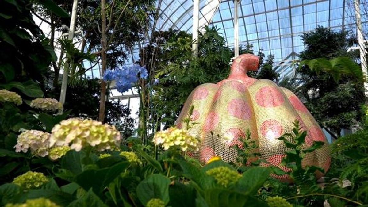 Yayoi Kusama, Art Booms