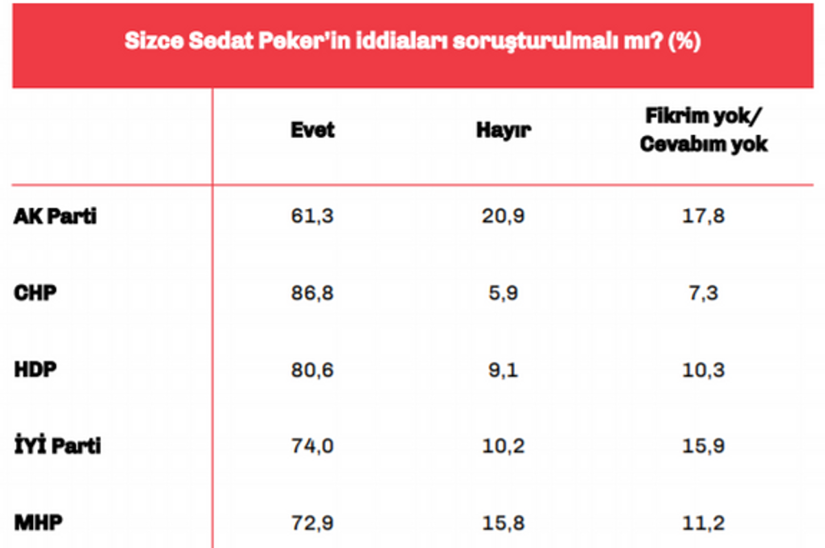 Türkiye Raporu
