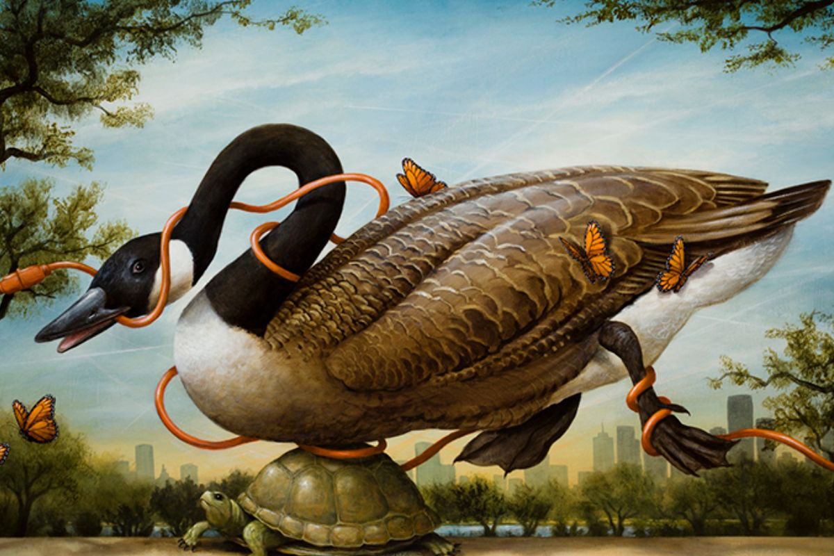 Kevin Sloan