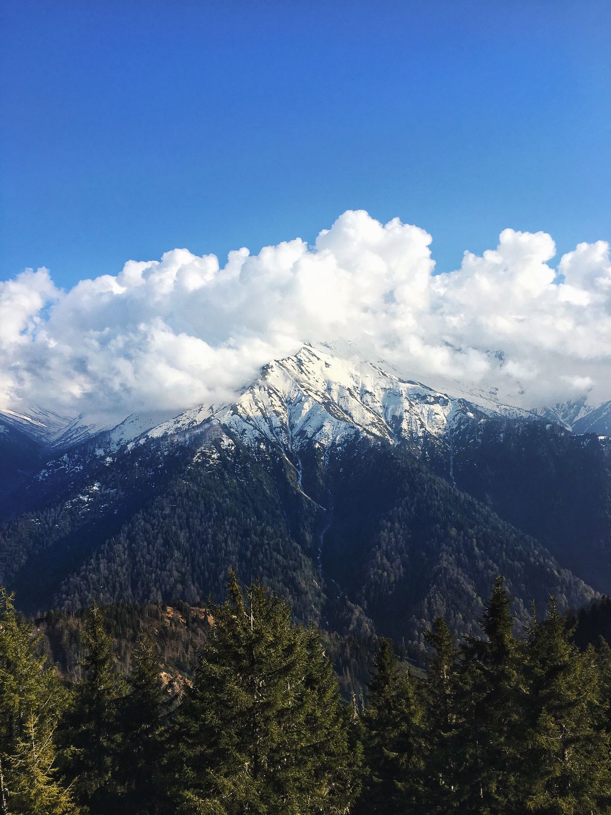 Pokut Yaylası