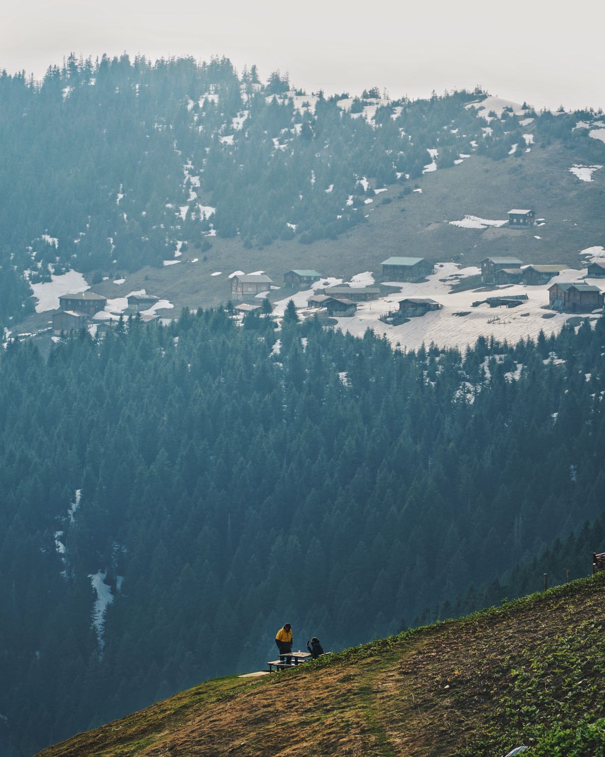Pokut Yaylası