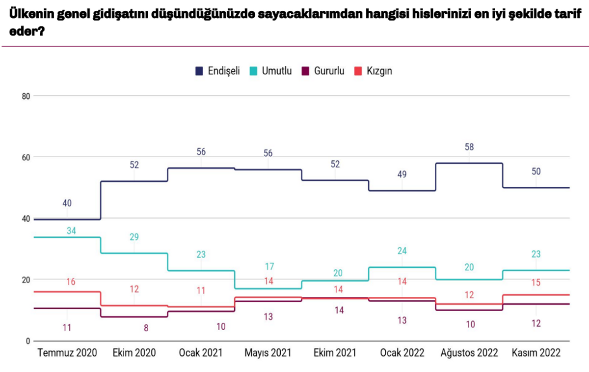 toplumsal hisler