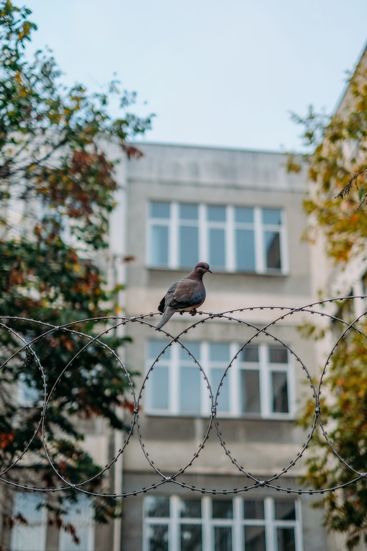 Fotoğraf: Deniz Sabuncu