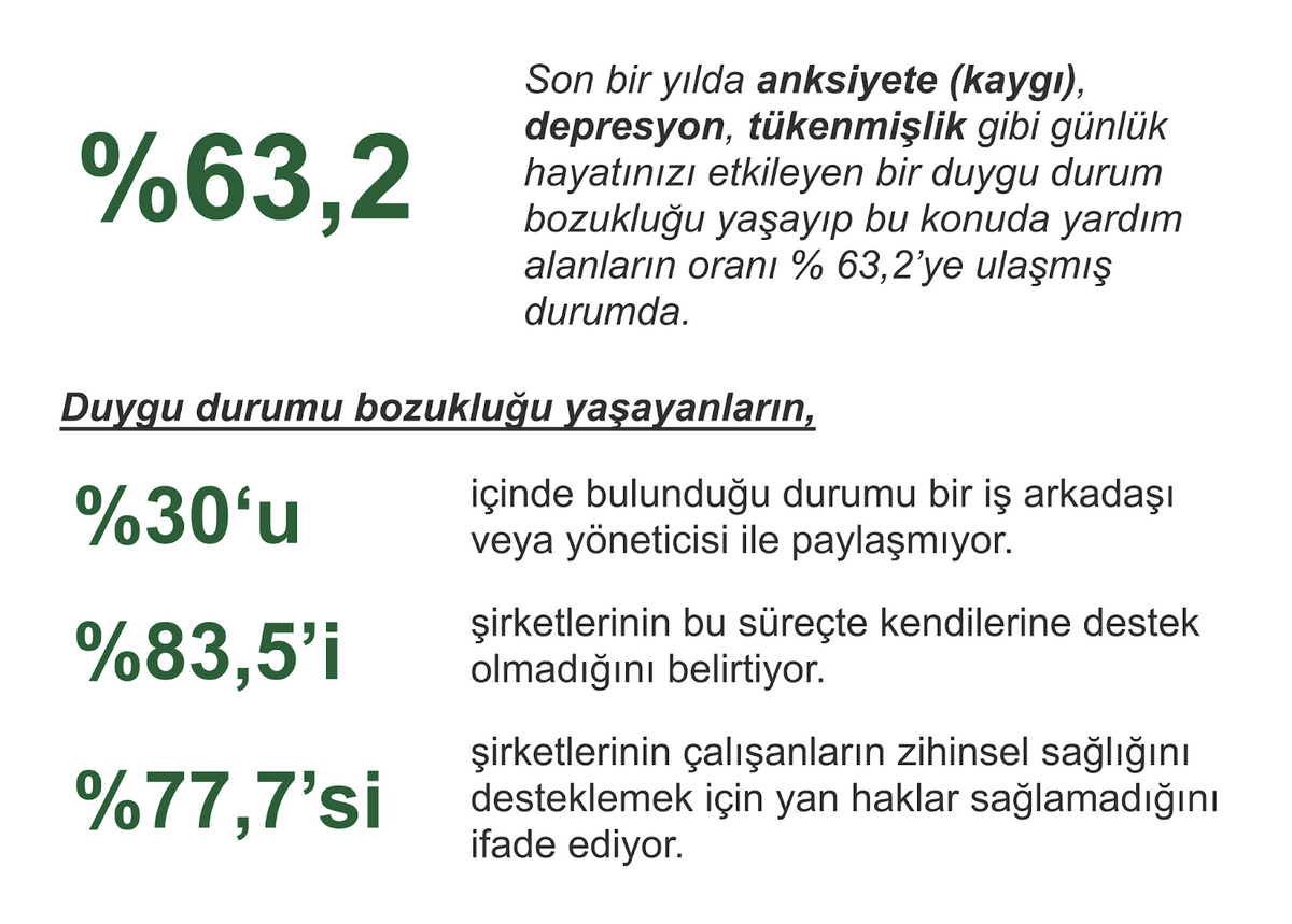 anket verileri