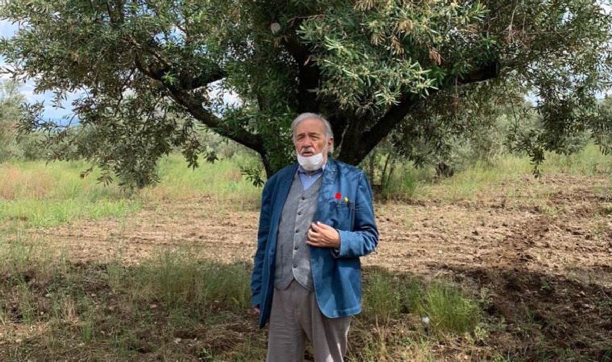 İlber Ortaylı