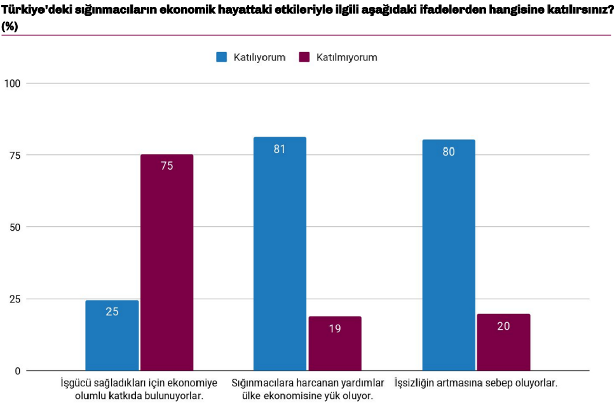Türkiye Raporu sığınmacıların ekonomik etkisi