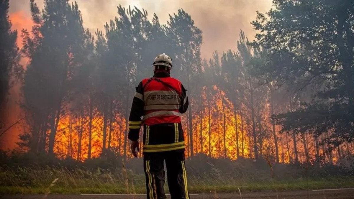 yangına müdahale eden bir itfaiye eri