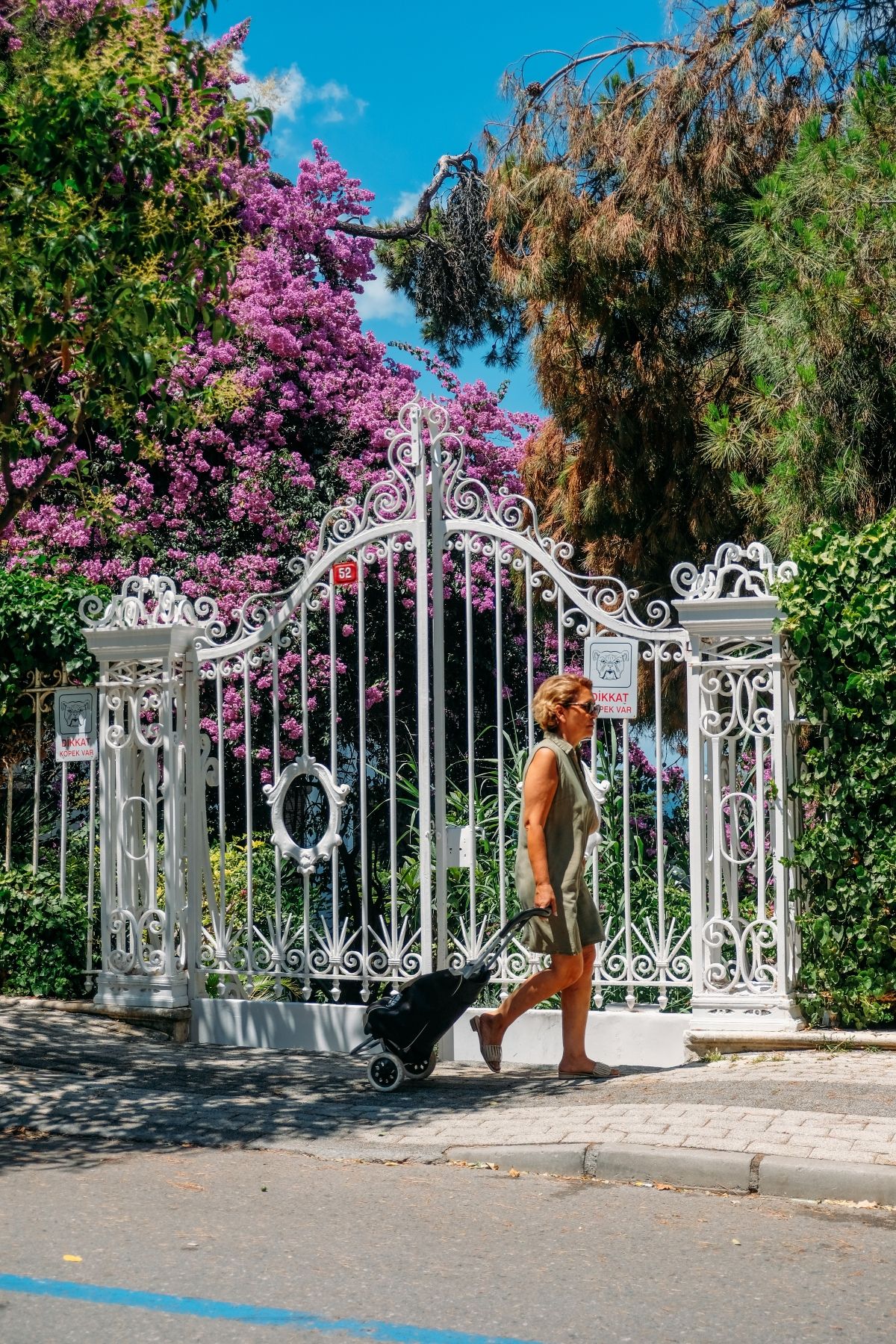 Büyükada'da bir pazar çantası. İçinde neler var? Cevabı apéro'da olabilir.