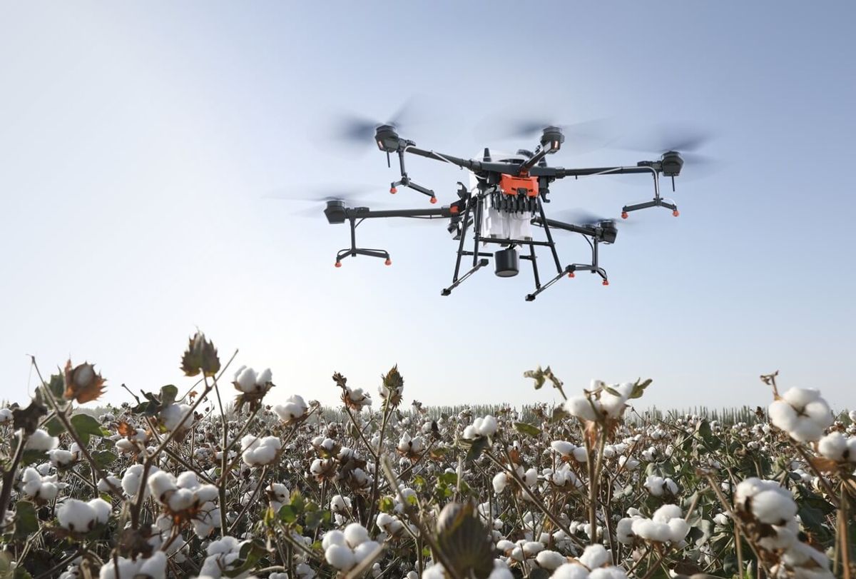 DJI