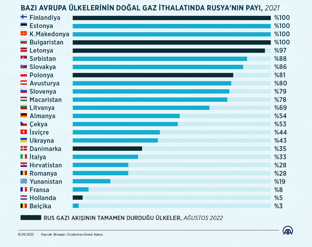 Doğal gaz ithalatında Rusya'nın payı