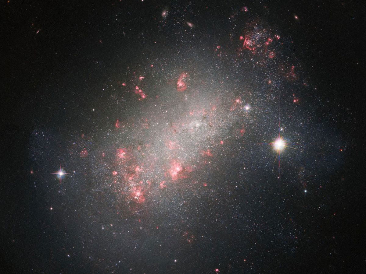 NGC 1156