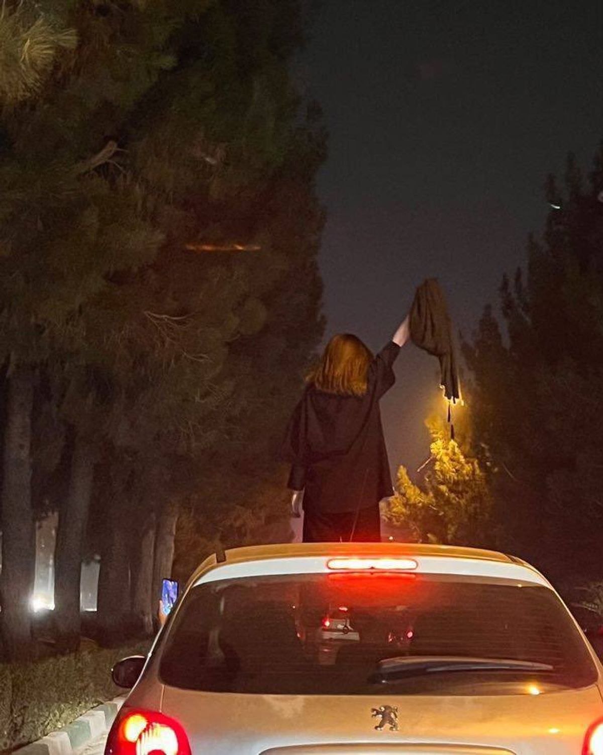 protestocu