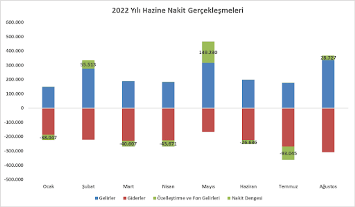 Hazine nakit gerçekleşmeleri