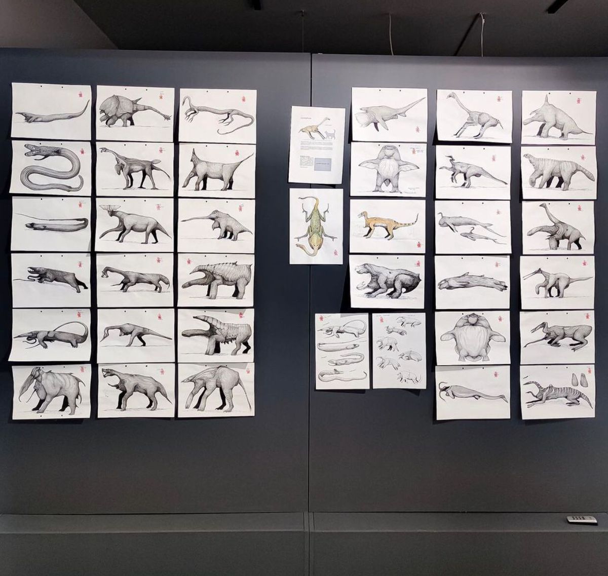 Speculative Evolution