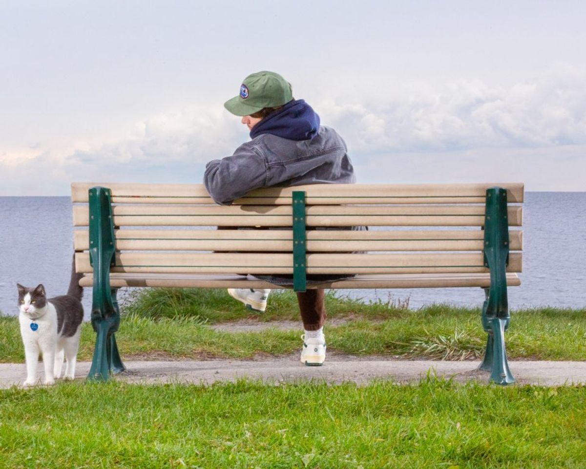 HOMESHAKE | Fotoğraf: Kyle Berger