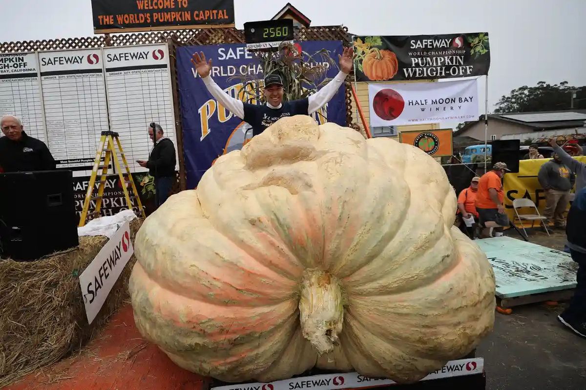 1.161 kilogramlık bal kabağı
