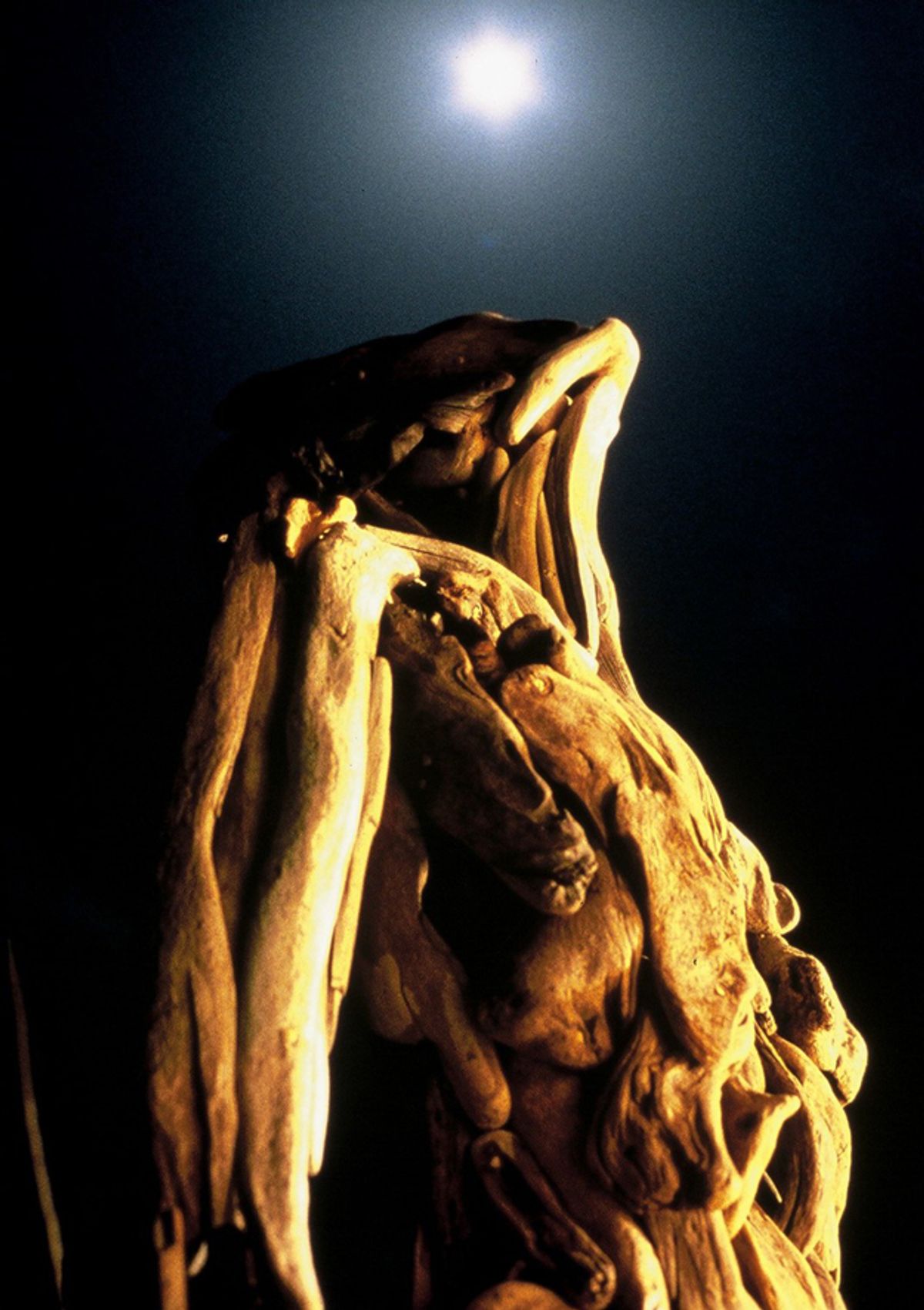 Torso 3