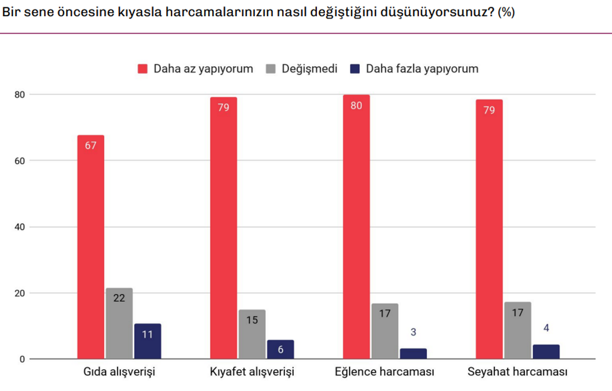 Türkiye raporu