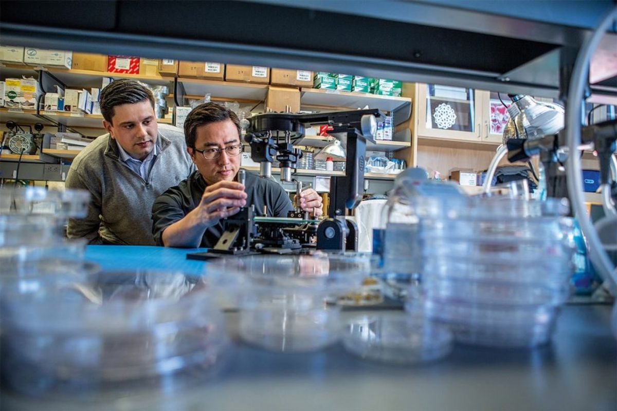 Penn Engineering Blog - University of Pennsylvania