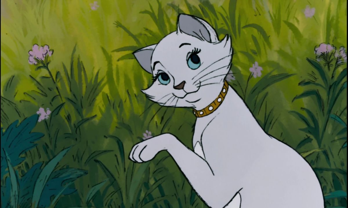 Duchess