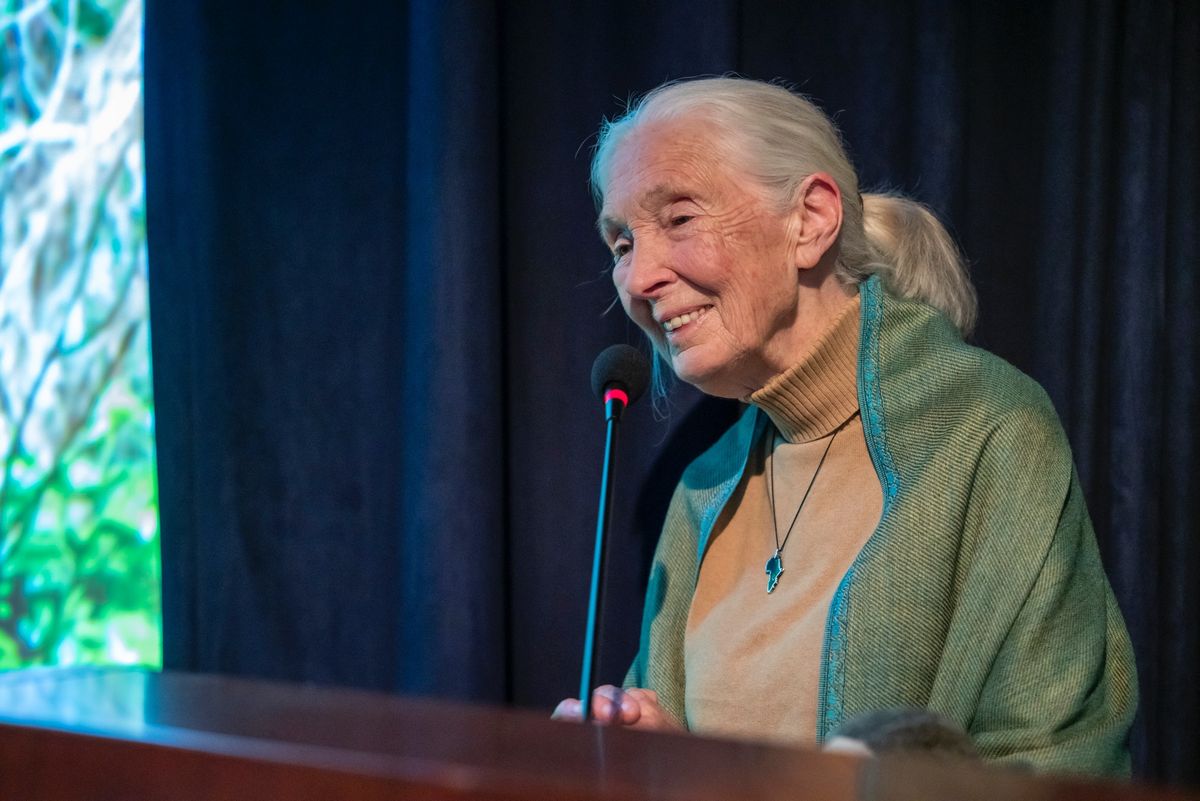 Dr. Jane Goodall, Türkiye’de
