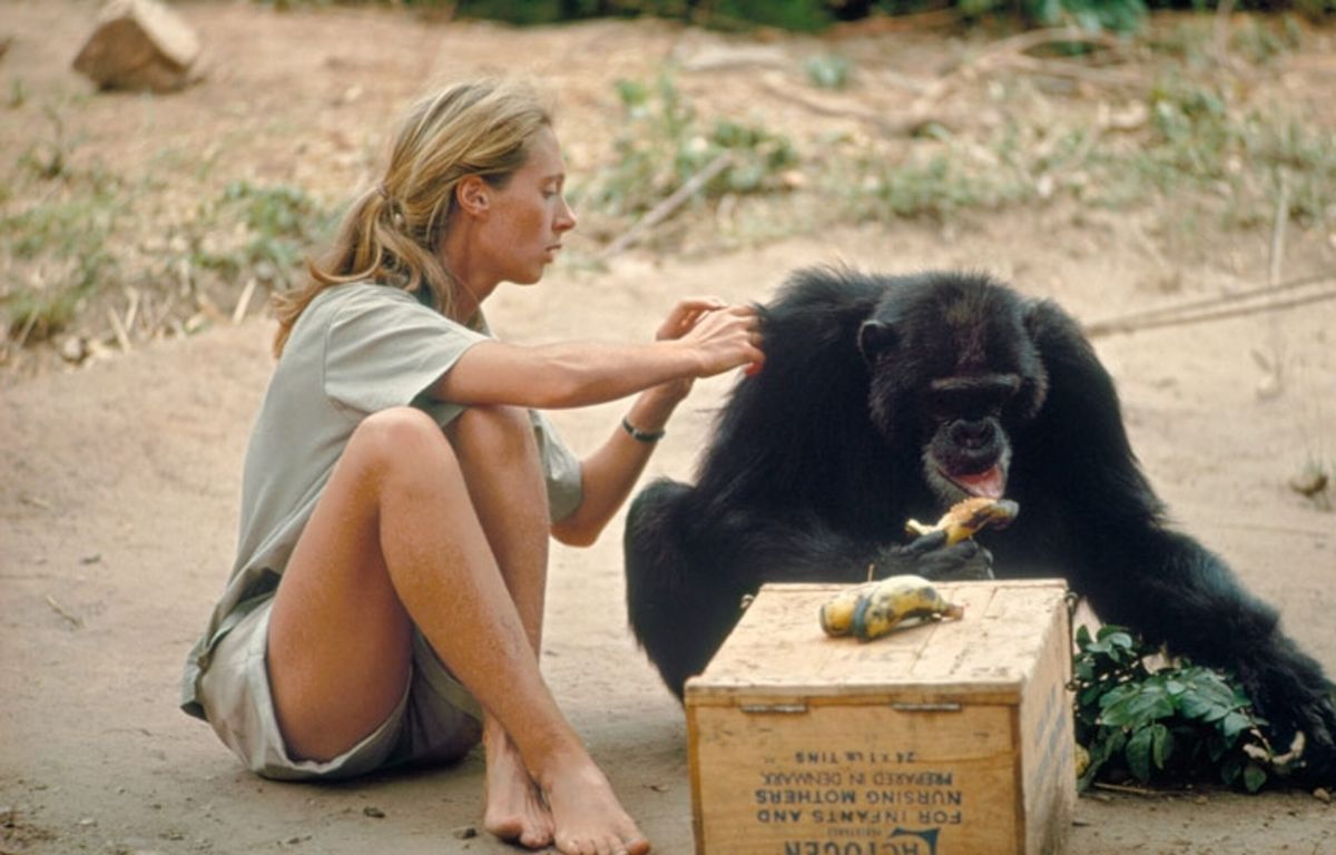 Fotoğraf: National Geographic