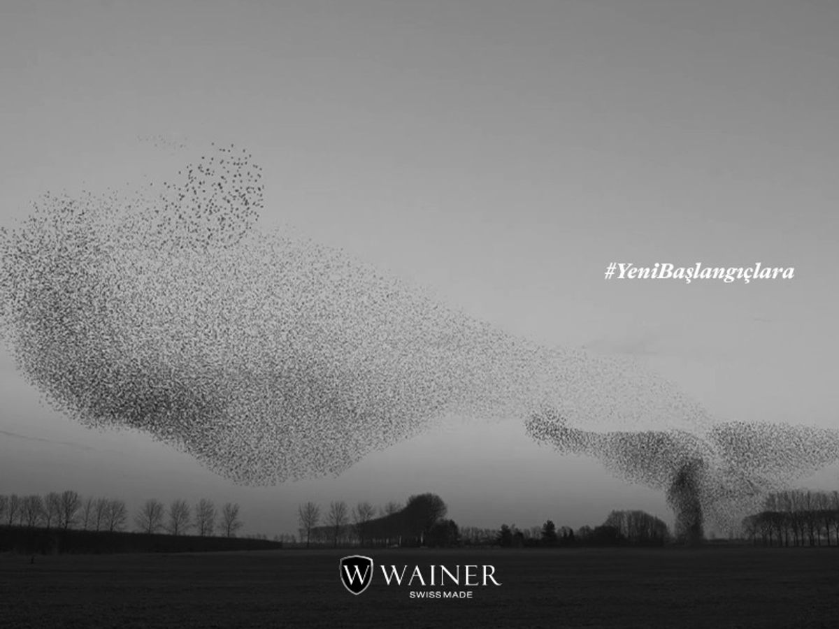 Wainer