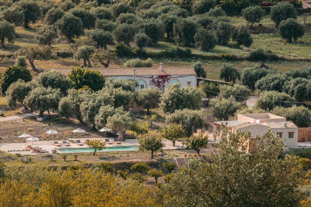 IUTA Farm