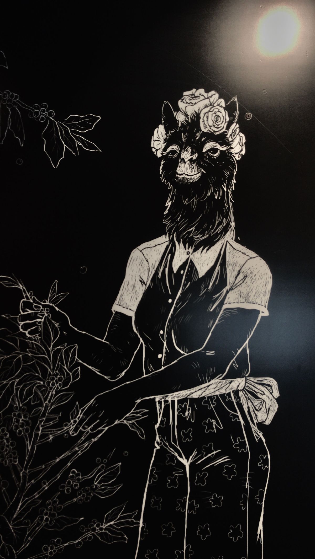 Noir Pit