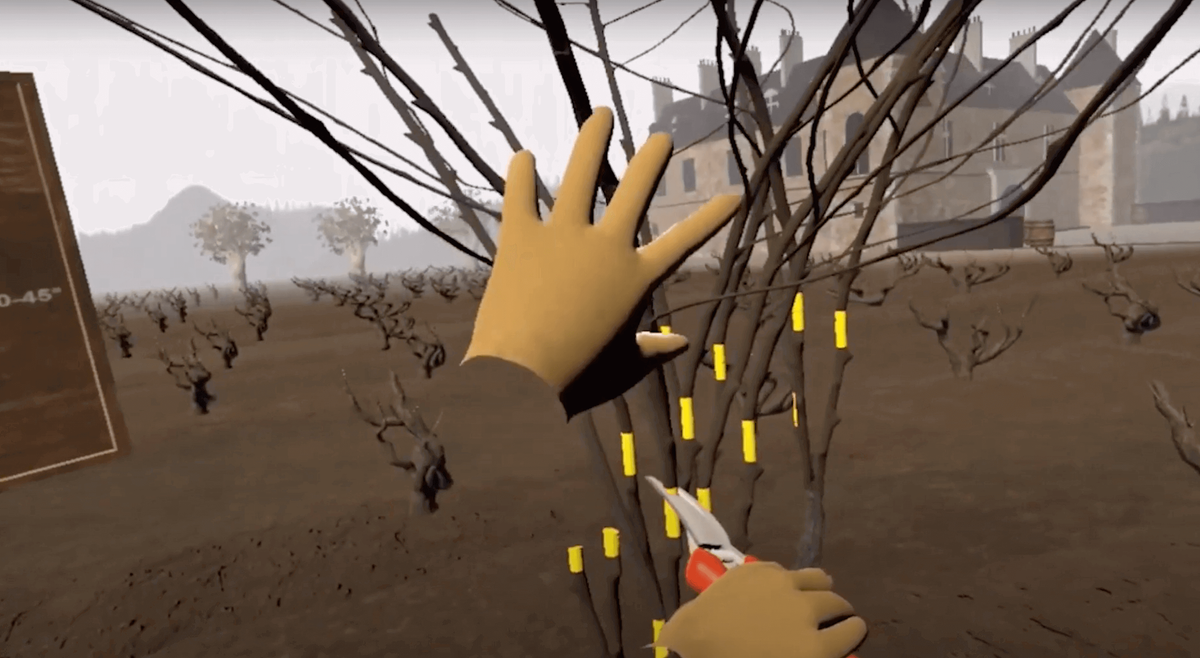 VitiVR