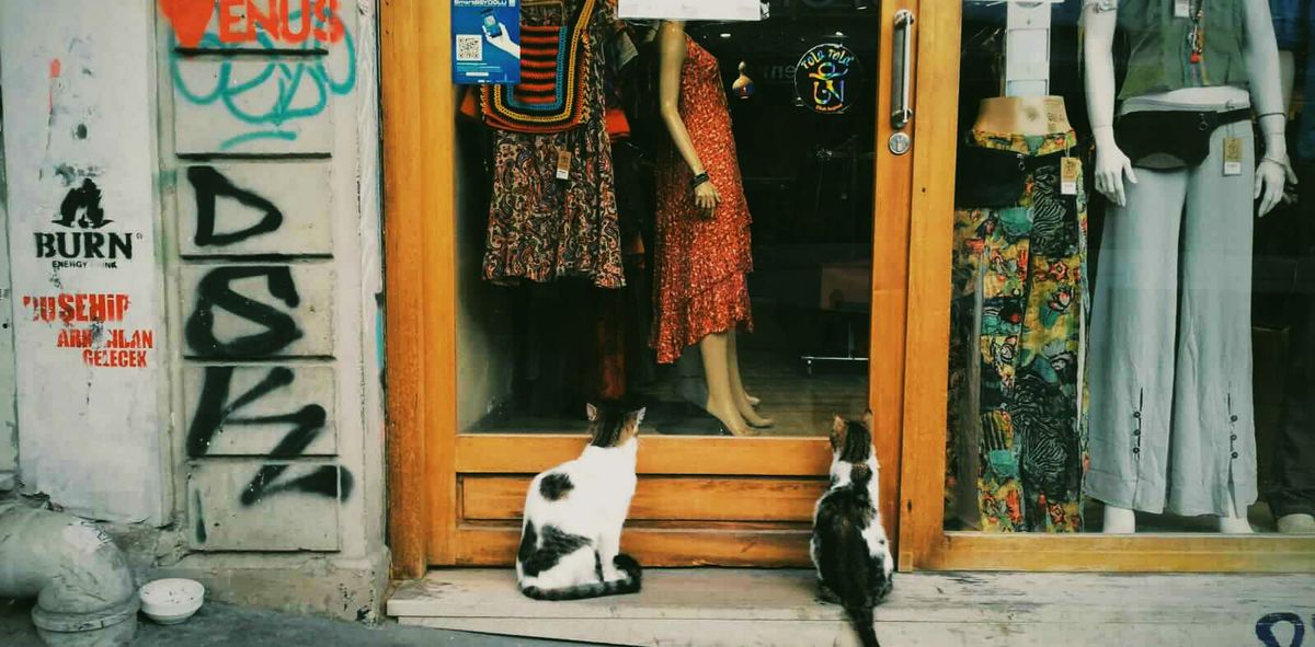 Galata'dan Sevgilerle