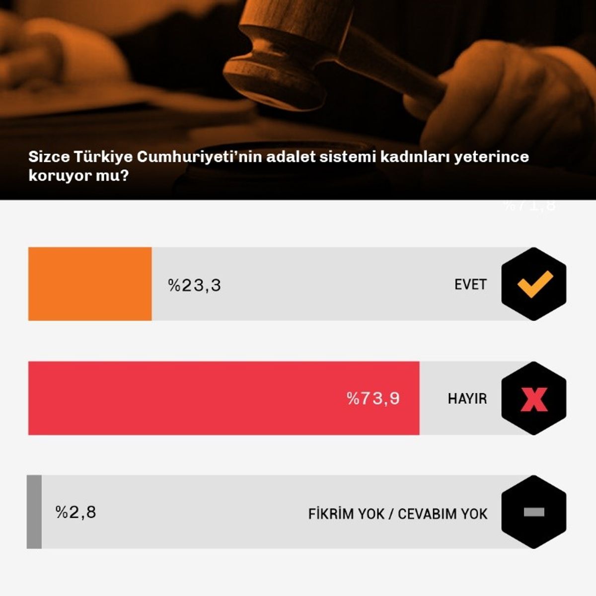 Türkiye Raporu
