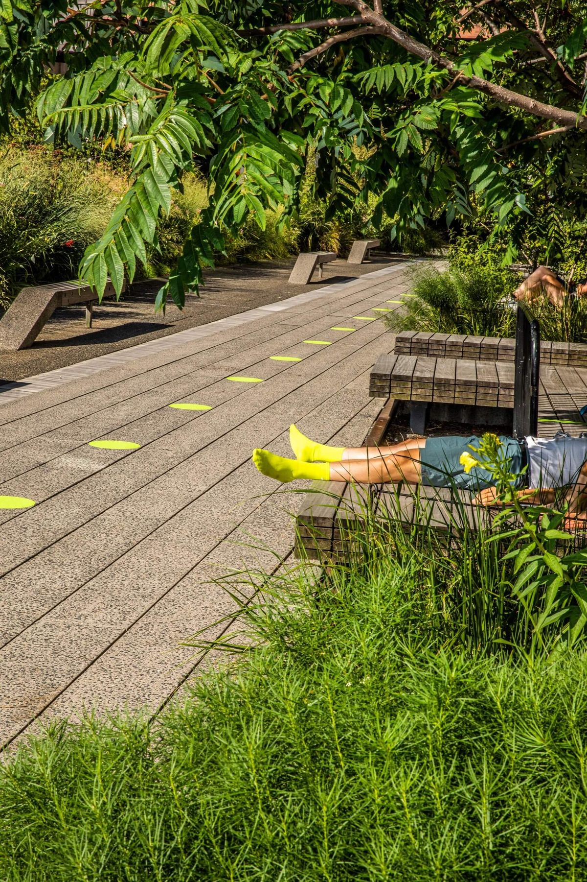 The High Line Park