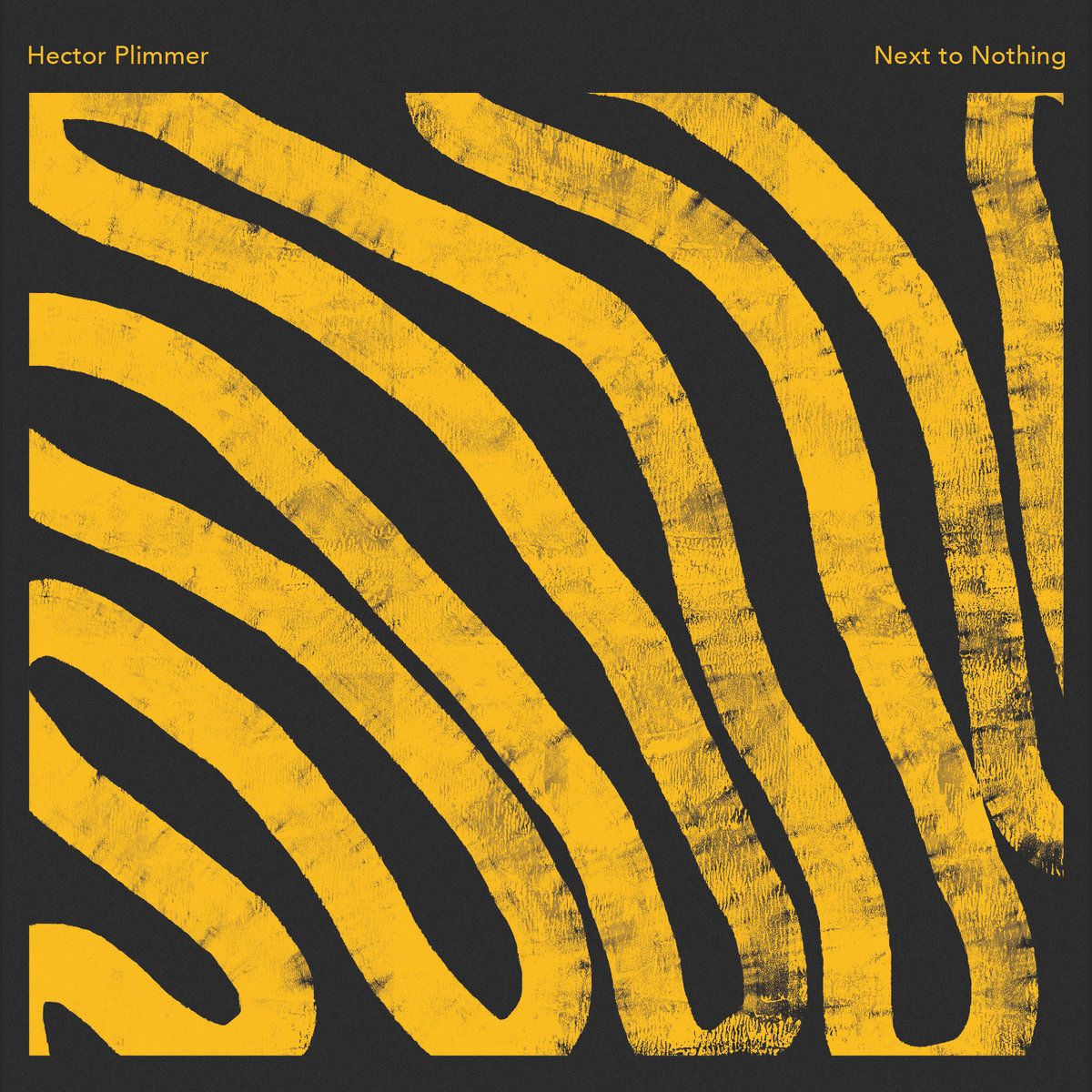 Hector Plimmer - Next to Nothing