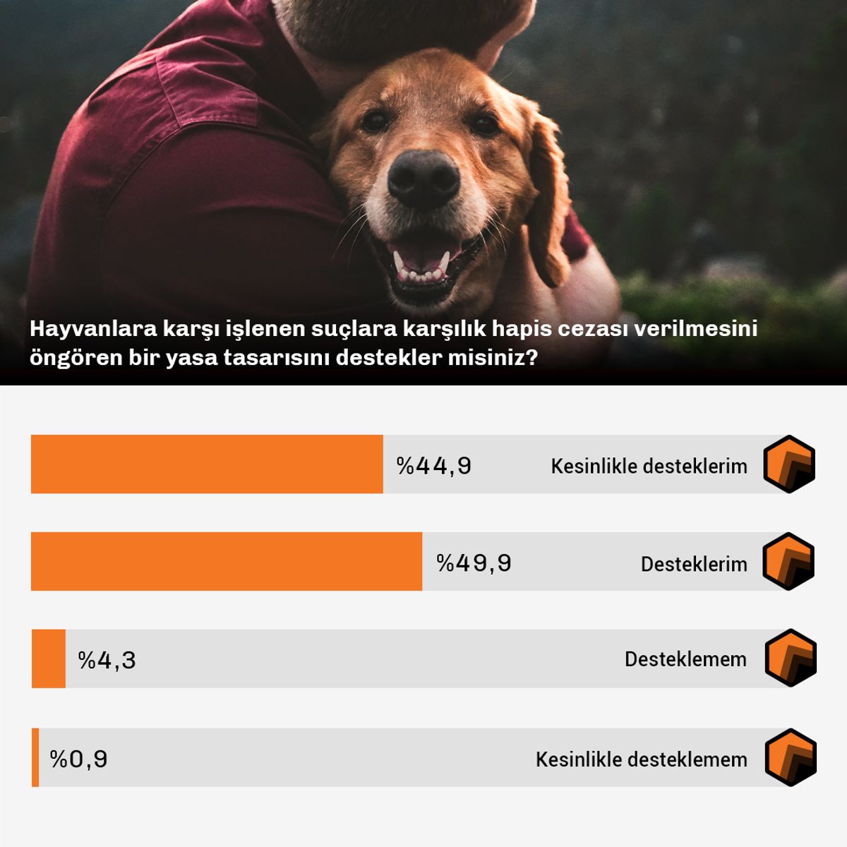 Türkiye raporu