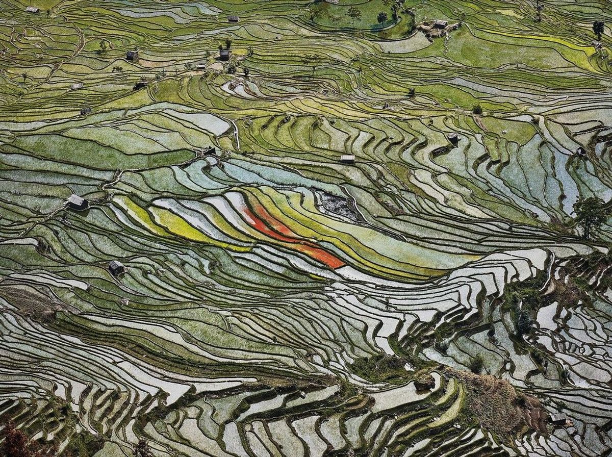 Edward Burtynsky,  Rice Terraces