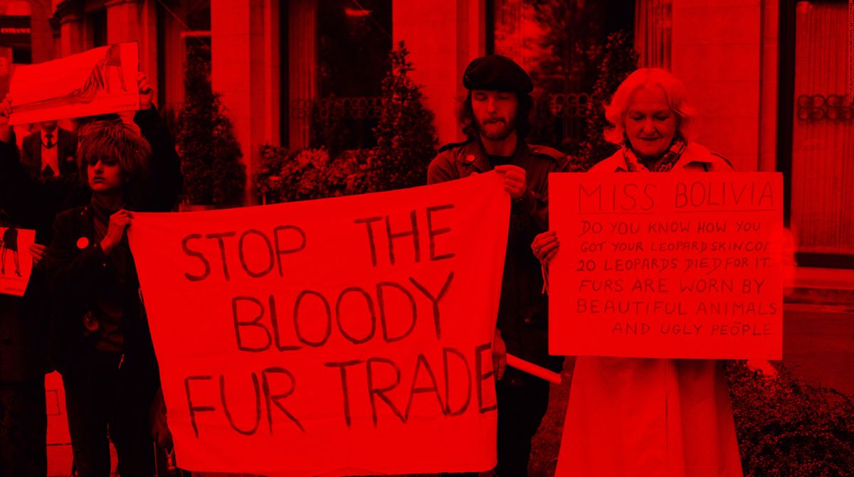 stop using fur