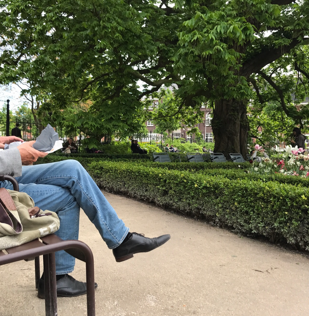 amsterdamda bir park