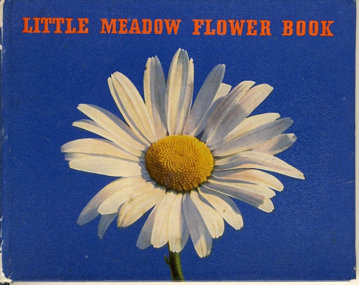Little Meadow Flower Book, F.Bruckmann Yayınları (1938)