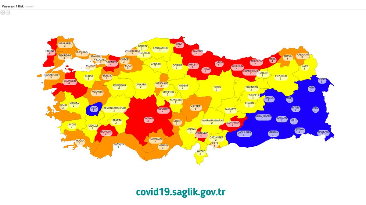 Risk Haritası