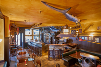 Hemingway'in izinde: Heidelberg'de bira rotası