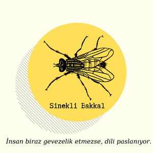 Sinekli Bakkal