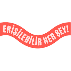Erişilebilir Her Şey