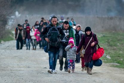 Suriyeli sığınmacılarla ilgili doğru sanılan yanlışlar