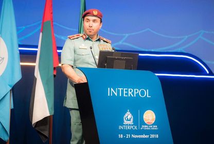 Interpol’ün yeni başkanı işkenceci mi?