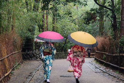 Kyoto'da bir sabah
