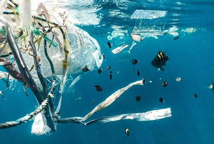 Plastik ve tekstilde %100 geri dönüşüm buradan başlıyor: Carbios