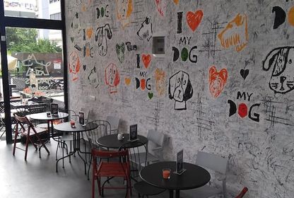 İstanbul'un hayvan dostu kafelerinden mini bir seçki 🐾 ☕